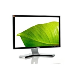 Moniteur Dell 2007WFP 20" WSXGA+ A+ avec câble vidéo