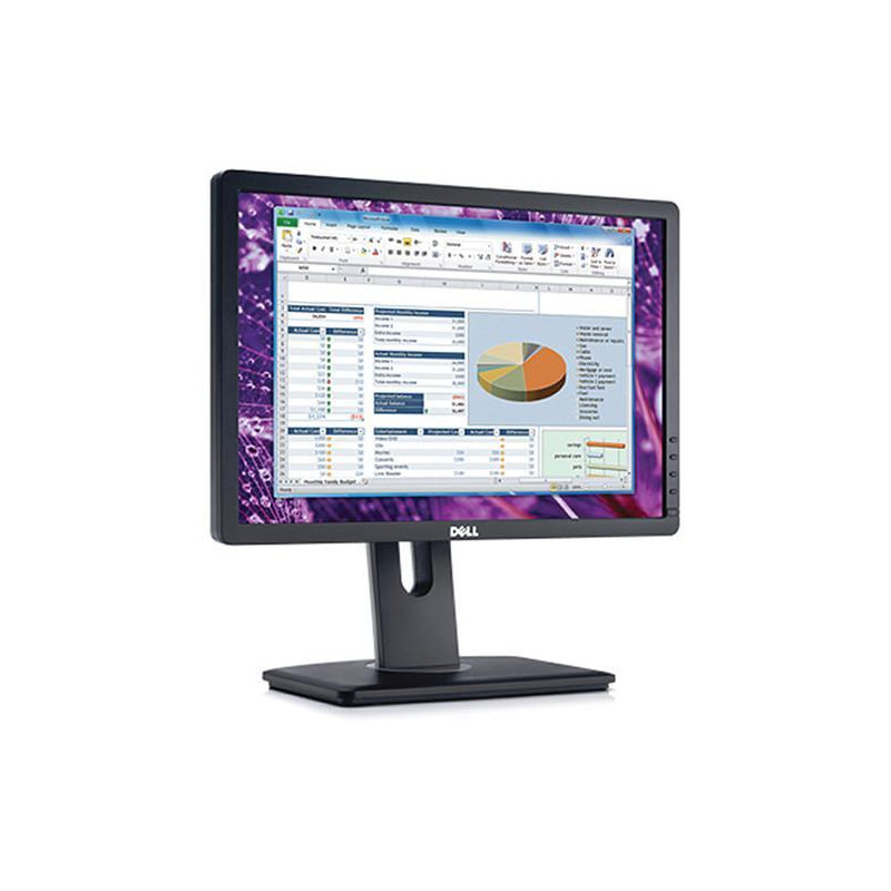 Monitor Dell P1913B 19" LCD A+ | Vitesse 5 ms, 1440x900
