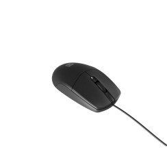 Ratón optique Natec 1000 DPI - Design ergonomique