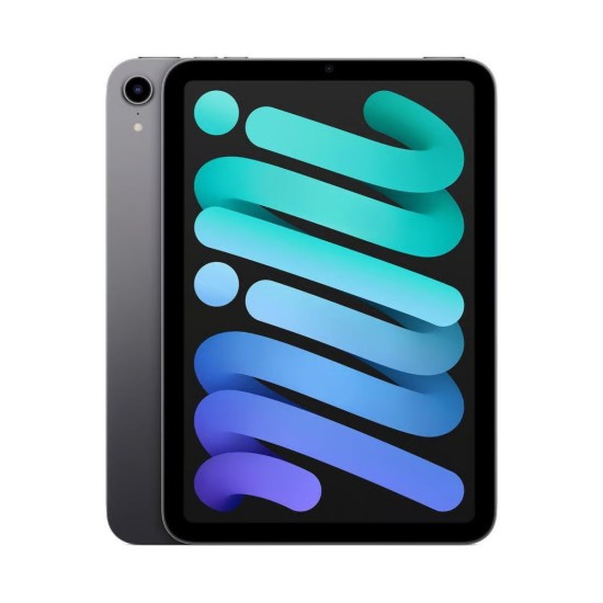 Apple iPad mini 6e génération 8,3" 256 Go WiFi Gris sidéral | A15