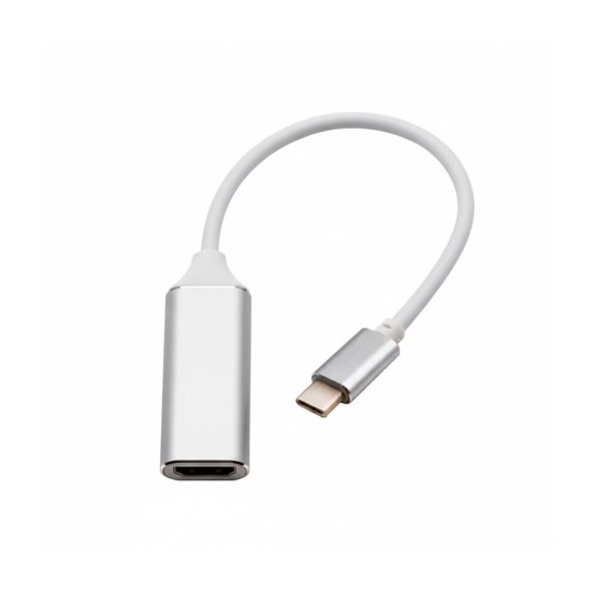 Adaptateur USB-C vers HDMI 4K 60 Hz · MacBook et Samsung